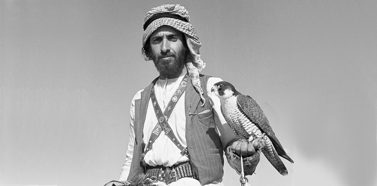 الشيخ زايد بن سلطان آل نهيان