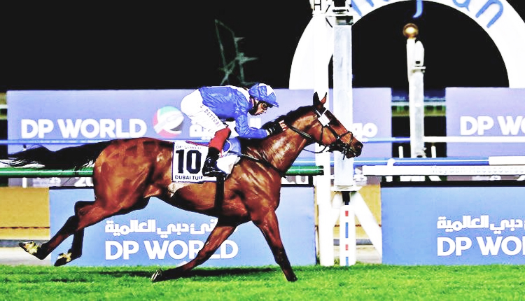 نادي دبي لسباق الخيل ينظم مزاد كأس دبي العالمي "بريز أب" لخيول السباق بالتعاون مع "جوفز " العالمية