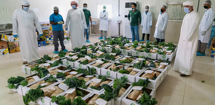 "شروق" تطلق مبادرة لتوزيع خضروات عضوية مجاناً على الأسر المتعففة 