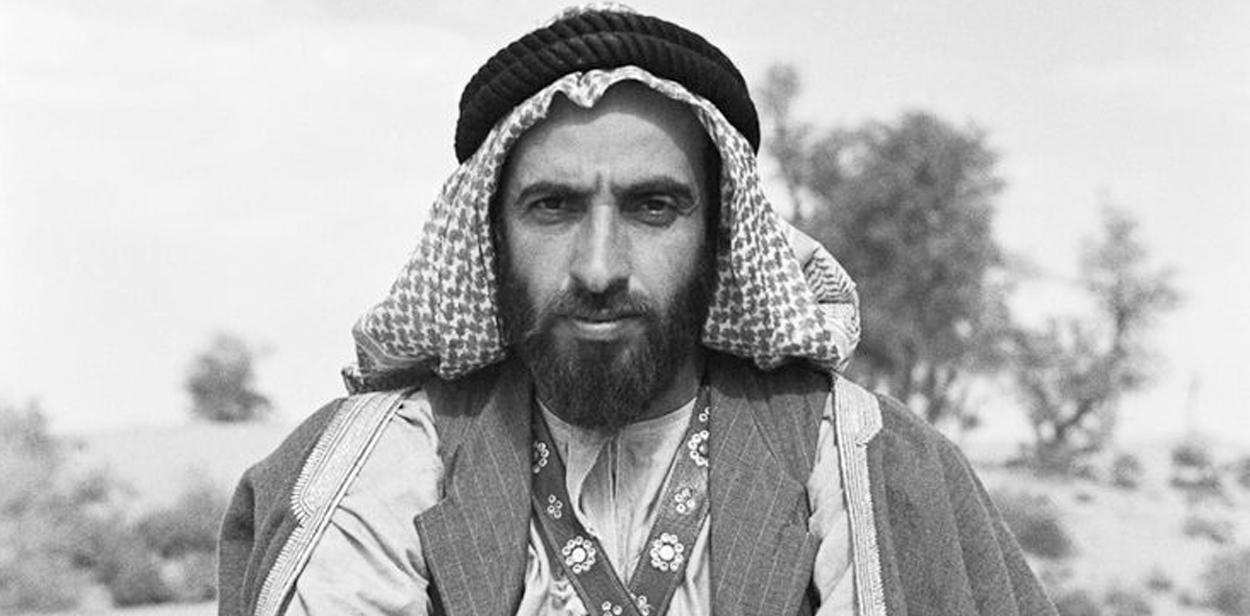 الشيخ زايد بن سلطان آل نهيان