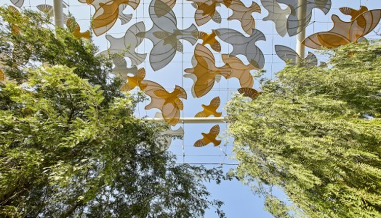 إكسبو 2020 دبي ينظم ندوة لتسليط الضوء على جهود الاستدامة في موقع الحدث الدولي