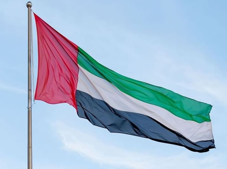 /content/dubaione/en-ae/programs/181/UAEPledgestoGHO.html