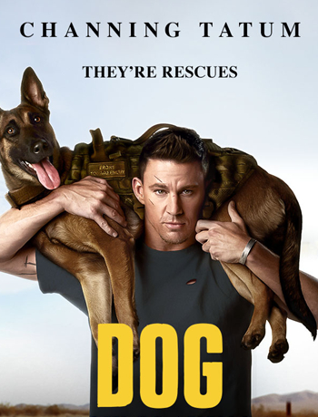 /content/dubaione/en-ae/programs/24/Dog.html