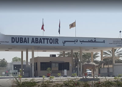 مقاصب بلدية دبي تنهي استعداداتها لعيد الأضحى