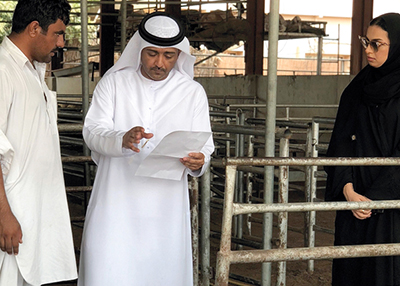 &quot;الرقابة التجارية وحماية المستهلك&quot; تدعو تجار المواشي إلى الالتزام بالأسعار