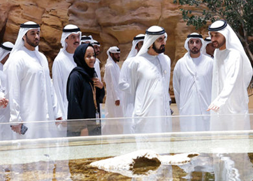 «دبي للثقافة» تطلق جائزة محمد بن راشد للفنون