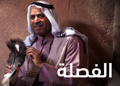 الفصلة